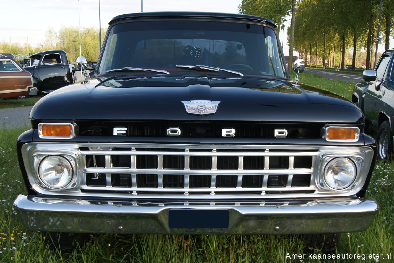 Ford F Series uit 1965